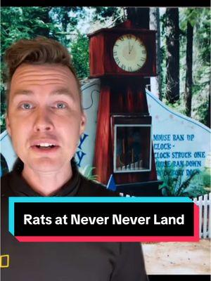 Great news! The live rats in the old Hickory Dickory Clock at Point Defiance’s Never Never Land were NOT electrified to make them run to the top of the clock. It has been confirmed that they were trained rats and the button would open a door so that they could go and get food at the top of the clock. They were all trained by the general manger Jim Reuter. #wa #pointdefiance #neverneverland #history #trivia #tacoma #pnw 