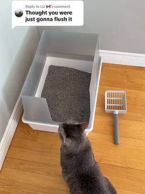 Replying to @Liz 🇨🇦 Alright Liz lets flush this cat litter for you. #catlitter #tofucatlitter #bestcatlitter #tuftandpaw 