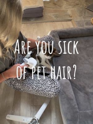 Pet hair drives me nuts and this helps cut down on it! You should see when we use on my moms golden retriever 🤯🤯 #dog #dogs #puppy #dogstagram #doglover #Love #pet #dogoftheday #cute #doglovers #pets #dalmatian_feature #dalmatiandog #dalmatianworld #dalmatianlove #dalmation #dalmatianpuppy #dalmatiannation #dalmatianlovers #dalmatians #dalmatiansofinstagram #momsontiktok #MomsofTikTok #momsover30 #momsbelike #momsover40 #momsoftiktokclub #momslife #momlife #momtok #cats #catsoftiktok #straycats #streetcats #feedingstraycats #catlovers #catrescue #adoptdontshop #catcommunity #rescuedcats #straycatsofinstagram #meow #catcare #catlife #cutecats #fostercats #catsinneed #savecats #kittenrescue #catsofinstagram