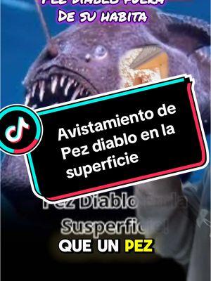 Avistamiento de pez diablo en la superficie #pez #pezdiablo #oceano #rapesabisales #misterios #parati 