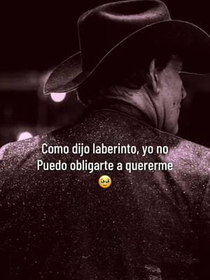 No se puede ganarle al destino 🥠 #grupolaberinto #serapioramirez #tevasotequedas #dedicala #fyp #yonopuedoobligarteaquererme 