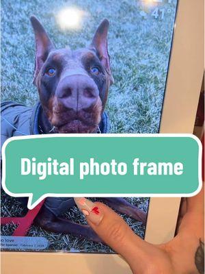 I’m OBSESSED! #digitalphotoframe #digitalphotography #photodisplays #photos #pictures #pictureframes #digitalpictureframe #valentinesdaygiftideas #giftideas #tiktokfinds 