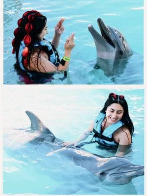 Off my bucket list !!! 🐬😭🎞️ I cried so many times 😭 Gods creation is beautiful 😍 #dolphins #delfines #cozumel #mexico 🇲🇽 #vacation ⏰ #dateideas 💙 #vacaciones 🚢 #excursions #CapCut 