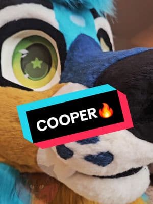 [Sneak Peak] COOPER A head commission for @//mochiicoop on IG 🔥 This handsome boy is set to get proper photos this Sunday. Don't miss it! - DO NOT REPOST‼️ - - - #furryfandom #fursuit #fursuitmaker #fursuiting #fursuiter #fursuiter #furry #furrycommunity #fursuitwip #fursuitcommission #fursuitmaking #caninrfursuit #fursuitedit #fursuittiktok  #caninefurry