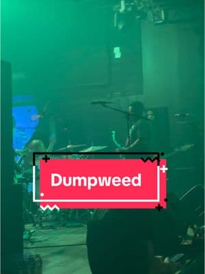 Our cover of “DUMPWEED” @blink-182 🔥🤟🏽 #theparadox #poppunk #blink182 #band #dumpweed 