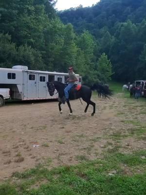 #standardbredsoftiktok #horses #appalachia #over60 