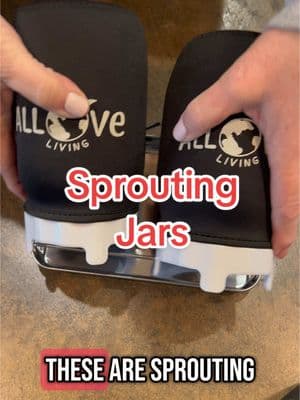 I highly recommend this sprouting kit!  It’s so easy and comes with great directions. #sprouts #sproutingkit #sprouting #sproutingseeds #microgreens #broccolisprouts #lentilsprouts 