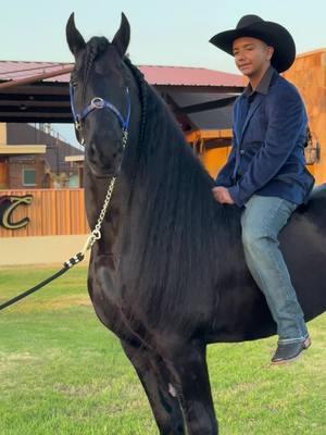 Viento Negro MC  Makila’s y photoshoot  ☎️ (817)673-8322  @@Mrs.RanchoMC##vientonegromc ##ranchomc_official##viral##monturasmc##mrsranchomcofficial##monturas##ranchomc26##friesianstallion