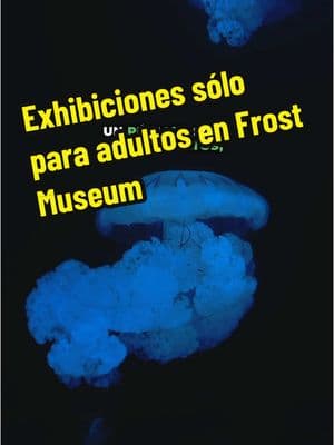 @Frost Science Museum nightLAB trae diversión exclusiva para adultos al museo. Desde enero de 2024, Frost Science ha lanzado nightLAB, una serie de eventos especiales solo para adultos, donde los visitantes pueden explorar las exhibiciones del museo, disfrutar de música en vivo y participar en demostraciones científicas interactivas. Cada evento tiene un tema distinto, y este trimestre el enfoque está en los BICHOS. Los boletos tienen un costo de $34.95 por persona, con acceso completo a todas las exhibiciones. #miami #museos #frostmuseum #exhibiciones #planes #miaminightlife #parati #paratiiiiiiiiiiiiiiiiiiiiiiiiiiiiiii 