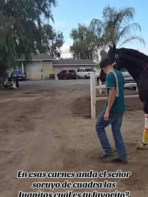 #carrerasdecaballos❤️😍🐎🥇🏆🎖 #ruidosodownsracestrack🏇❤🏇❤🏇🏇🏇🏇 #cuadralasjuanitas #cuadrasierrabrava🏇🇲🇽💥 #caballoscuartodemilla🐴 #lanesendfarm #cuadracantereros⚫️⚪️ #cuartosdemilla 