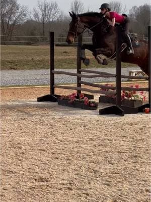 my handy king bcs that turn was absolutely terrifying #equestrian #equestrianlife #showjumping #showjumper #eq #equitation #eqhorse #foru #forupage #fu #horsejump #foruuuu #fypシ゚viral 