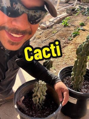 Wanna join my garden club? 😁 #Gardening #Gardening101 #GardenTips #GardenTip #Cactus #Cacti #Monstrose #Succulent #Planting #Landscaping #Propagation #ICantTalkRightNow  