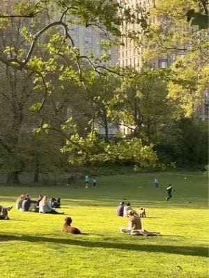 pov: it’s a beautiful spring day on the upper west side of manhattan 🌞🌷🏙️🌳✨ shot on iphone  4k at 30fps new york city #ethanbarberco #uws #upperwestside #springinnewyork #newyorkcity #lifeinmanhattan #nycgo #newyorker #newyorkphotographer #nostalgia #00s #2000s #iloveny #nycbucketlist