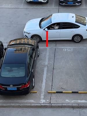 Reversing into a parking space！#driving #skills #tips #knowledge #fpy