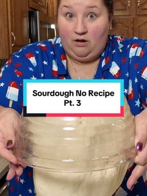 #AggressiveTutorials #AggressiveTutorialLady #AggressiveCookingShow #AggressiveCookingTutorials #sourdoughbread #sourdoughstarter #bakingwithjanedoe #janedoe #bakingwithjane #sourdoughtok