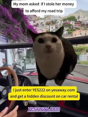 Use the promocode “YES222” to get the hidden discount on car rentals. #yesaway #carrental #promocodes 