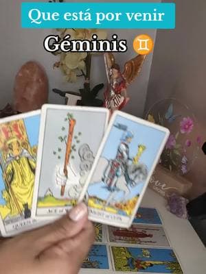 Géminis ♊ Mira como tienes a esta persona como loquito  #geminis #gemini #gemini♊️ #tarot #fypage #fyppppppppppppppppppppppp #paratii #predicciones #tarotcards #estadosunidos🇺🇸 #TikTokShop #usa🇺🇸 #Love #amor #tarotreading 