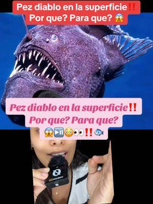 VIDEO DEL PEZ DIABLO EN LA SUPERFICIE ‼️👀⏯️ CONTEXTO! por qué?? Para que?? 🔥🔥👀👀😱😱😳😳⏯️⏯️. #greenscreen #greenscreenvideo #pezdiablo #pezdiablo👹 #avistamiento #avistament #oarfish #blackdevil #blackdevilfish #costasdeespaña #pez #fish #badfish #pescadodiablo #noticia #noticiadeultimahora #loultimo #porque #paraque #explicacion #noticiasturbias #historiasturbias #noticiastiktok #notice #historiasdemiedo #historiasdeterrorpr #scary #scrying #scarytoks #tiktoksdemiedo #noticiasdehoy #noticiasdestacadas #noticiasen1minuto #noticiasdeultimahora #ultimahora #ultimahora🚨 #paratodos #paratodosdetiktok♡ #paratodosustedes #parati #paratipezdiablo #pezdiablo #fishbad #fypシ #fypシ #fypage #fypシ゚viral #fy #fypusa #fyppezdiablo #destacarrrr #loultimoennoticia #chismes #polemicas #turbio #turbioooo #loultimo #chismestiktok 