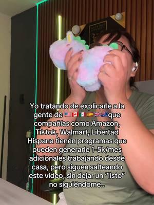 Todo es posible si tienes la mentalidad correcta #ingresopasivos #emprendedesdecasa #trabajardesdecasa 