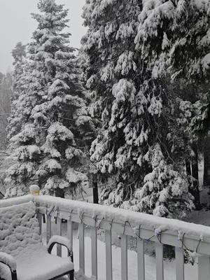 01/07/25 - #snow #snowing #white #welcometomyworld #followmylife #enjoylife #mountainlife #southerncalifornia #california #mountain #mountains 