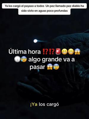 Algo grande va a pasar el pez diablo negro acaba de salir ala luz 💡👹👹😱😱⁉️⁉️🚨🚨😰😰😬⌛️⌛️🕡⚠️#pezdiablo #peznegro ##peznegro #ultimahora #pezdiablo #peznegro #ultimahora🚨 