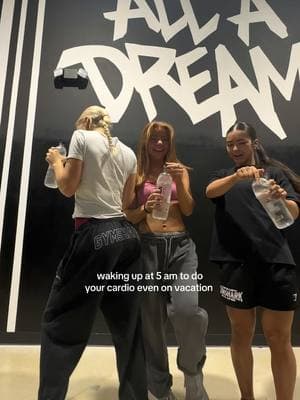 the people who get it JUST get it. being around like minded people makes it SM better 🙌❤️‍🔥✨😚 @Hope sgro @Katelyn @Gymshark #fyp #Fitness #healthylifestyle #healthiswealth #cardio #stairmaster #gymgirls #gymshark #travel #gymmotivation 