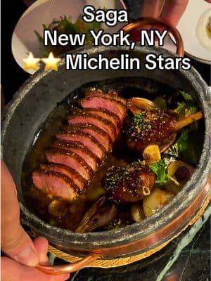 Duck, salads and spreads at two Michelin star Saga in New York City was the perfect sharing meal for a fan dinner with Benji. Part of a large tasting menu with an incredible view 63 floors above the Big Apple. #Foodie #michelinstar #eating #nyc #saganyc #highspeeddining