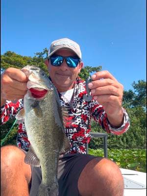 Chasing the famous clown knife fish, but the water was too murky. I decided to finish the Lilly pad where the water was more clear And ended up catching two little ones. Tough day, but at least I didn’t get skunked. You can find my mutant toad in my shop💪 My skiff is the mosquito from @beavertailskiffs  #urbanfloridafishing #floridafishing #fishingvideos #bassfishing #beavertailskiffs 