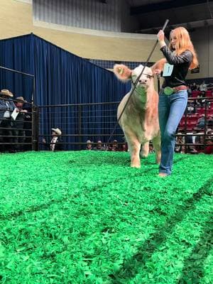 Mattison Koepp sells her Grand Champion Steer for $375,000 to Vaden’s Acoustics & Drywall, inc. #FWSSR #HustleAndShow