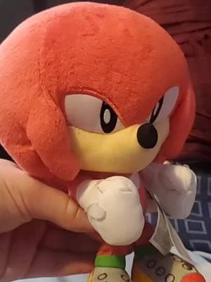 #sega #sonicthehedgehog #classicsonic #knucklestheechidna #plushies #random #coryxkenshin 