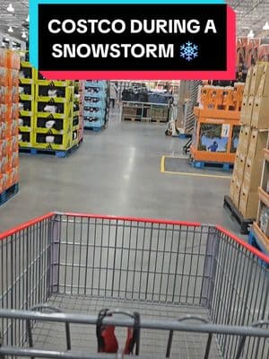 I might start exclusively shopping at Costco during  snowstorms. This is on a SATURDAY 🤣 #costco #allbymyself #greenday @CostcoBuys #costcofinds @Costco Wholesale 