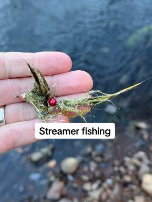 Streamer is called Daddy’s money gold. Trout can’t resist it. It’s a size 4.  Make sure when you’re fishing with a larger streamer you give it time to sink deep. As you strip it in, it rises through the water column, if it doesn’t start deep, then it might never be appetizing to the trout. #streamerfishing #streamer #flyfishing #tigertrout #fullingmill #fisherman #fishermen #catchandrelease #flyfishingtrout #fishingfun #fishingfun #fishingtips #fishinggear #troutfly #flyfishdelawhere #fishingaddict #fishingadventures 