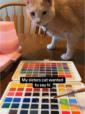 The colors are so vibrant, and I absolutely love it! #meeden #meedenwatercolor #watercolor #cat #cattok #tabby #orangetabby #TikTokShop #fyp #fypシ゚viral 