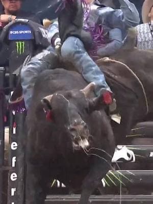 The bull’s name is “Throwing Hands” and we see why 🫣 #pbr #utb #bullriding #saltlakecity 