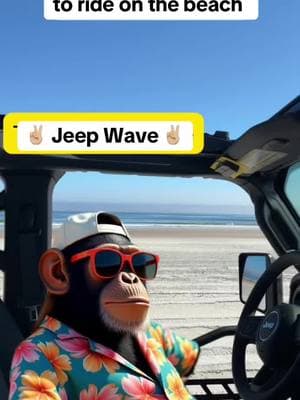 #jeep #jeepwave #jeeplife #jeepfamily #jeepgirl #jeepwrangler #jeepmods #humor #laugh #follow #florida #fl #staugustine #beach #beachvibes #CapCut 