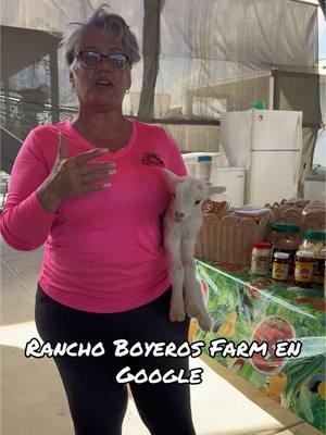 Productos naturales y de la mejor calidad en Rancho Boyeros Farm#farm#flanes#huevos#leche#lomo #ahumados 