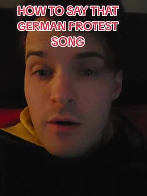 #german #germany #foreignlanguage #bilingual #america #usa #sdp #cdu #afd #germanhistory #protest 