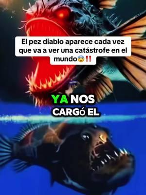 El pez diablo aparece cada vez que va a ver una catástrofe en el mundo #ultimomomento #pezdiablo #catastrofe #aparicion