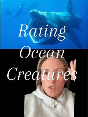 Insulting ocean creatures unprovoked but in my defense they are the worst and very scary #rating #ocean #oceancreatures #humor #funny 