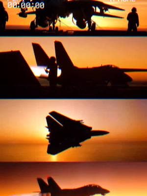 Tomcat Sunset #f14 