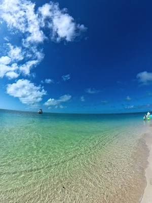 We got lost in paradise today 💛🏝️ #keywest #keywestflorida #floridakeys #sandbar #boating #islandlife #floridakeysvacation #beautifuldestinations #paradise #winter #february #visitkeywest #experiencekeywest 