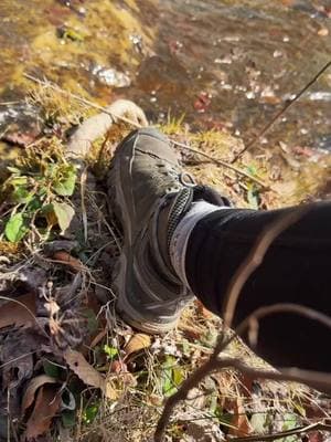 Turns out I’m fine, I just needed to sit by the water for a while..🦎 #fyp #waterfall #hike #nature #nc #sc #Hiking #reconnect #grounding #crunchy #mama #boymama #granola #fypシ゚viral #Summer #mountains #blueridgeparkway 