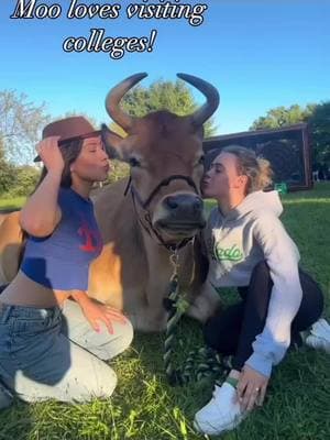 Moo’s College Tour Continues! 🎓🐮 Moo absolutely loves his college visits! From lounging on the quad to making new friends, he’s always ready to bring smiles, stress relief, and a little farm charm to campus life. Whether it’s a quick nap between classes or a cuddle session before exams, Moo is living his best academic life—one visit at a time! Want Moo to visit your school? Let us know! #CollegeCow #CampusCuddles #MooOnTheMove #StressRelief #CowCuddles #TherapyCow #CollegeLife #FinalsWeek #StudyBreak #PetTherapy #StudentWellness #FarmTherapy #SelfCare #CampusEvents #UniLife #MooVisits #FeelGoodMoment #CollegeFun #KnowhereFarm #FarmVibes