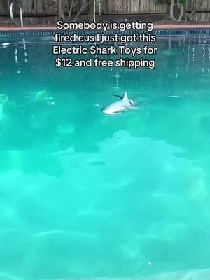 Fun shark remote control  #shark #sharktoy #watertoys #MomsofTikTok #kidsoftiktok #shark #pool #pooltoys #pooltoy 