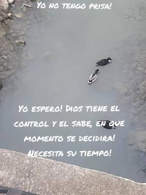 Necesita su tiempo #MakeASplash ##felicidad #makeasplash #univisionnoticias #news #amigostiktok #animo #optimista #graciosa #sonrisa #onthisday #viraltiktok #virall #TikTokLIVE #LIVEhighlights #esperanza #confianza #fe #FE #creo #respeto #humildad #justicia #optimista #positiva #CapCutMotivacional #CapCutAmor #mujeresqueinspiran #gentemaravillosa #mujeresfuertes #hombres #caballeros #mujeresmaravilloso 