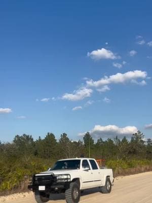 #doghuntercheck #countrysideoftiktok #gmt800 #bubbatruck🌾 