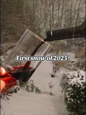 I had no shoes on. 🤣 The snow was about 5 inches deep when I recorded this. #snowday #wine #redwine #snowyday #itssnowing #vegantiktok #vegandrinks #snowstorm 