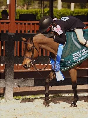 Valentijn takes the win in the USHJA Pony Derby week 5🌟🥇 @kenzie.smith78 @Evelyn Szczepanek📸🐴  @showthebows  #wef #wellington #florida #horseshow #equestrian #horses #foryou #horsebackriding #fyp #fy #foryoupage #viral #horse #hunter #pony #welsh #welshpony #ushja #derby #winner 