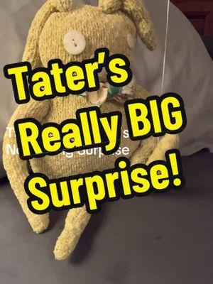 #surprise @Dannie D #surprisesurprise #leglift #leglifts #suprize #surprize #dannied #tatertheragdoll  Tater The Rag Doll surprises everyone by executing a flawless, Classic Dannie D leg-lift!🦵😮