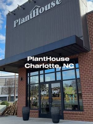 If you’re a plant lover or just love DIYs, I would definitely recommend checking out @PlantHouse ! #charlottenc #thingstodoincharlotte #planthouseclt #charlotteactivities #planthouse #charlottecontentcreator #charlotteinfluencer #CapCut 